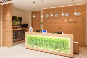 Airhotel Express, Domodedovo